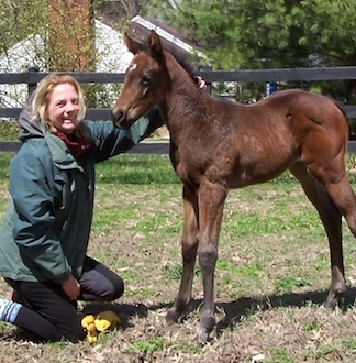 Laren With Foal